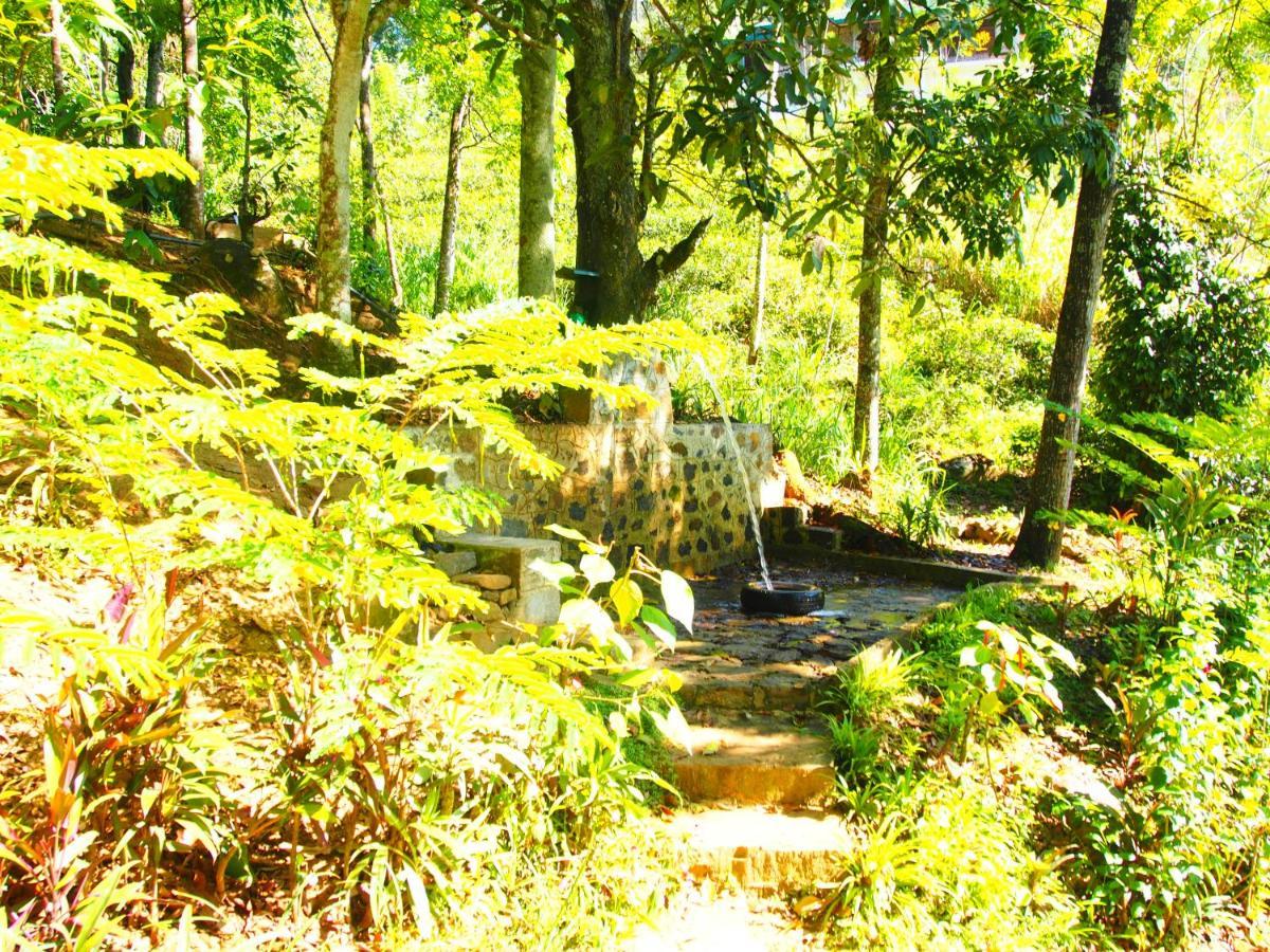 Tearamb Holiday Bungalow Otalawa 外观 照片