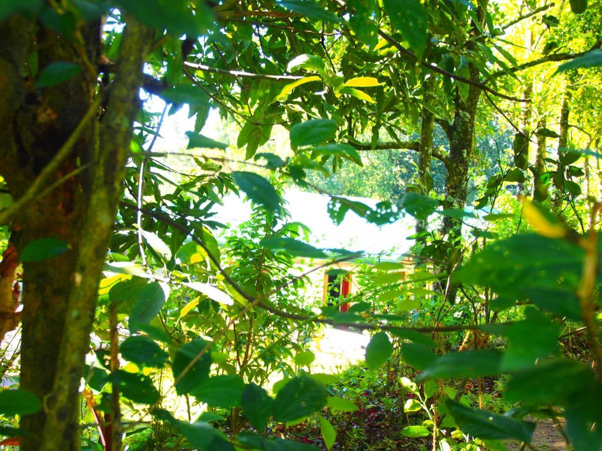 Tearamb Holiday Bungalow Otalawa 外观 照片