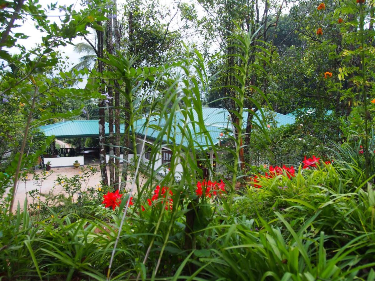 Tearamb Holiday Bungalow Otalawa 外观 照片