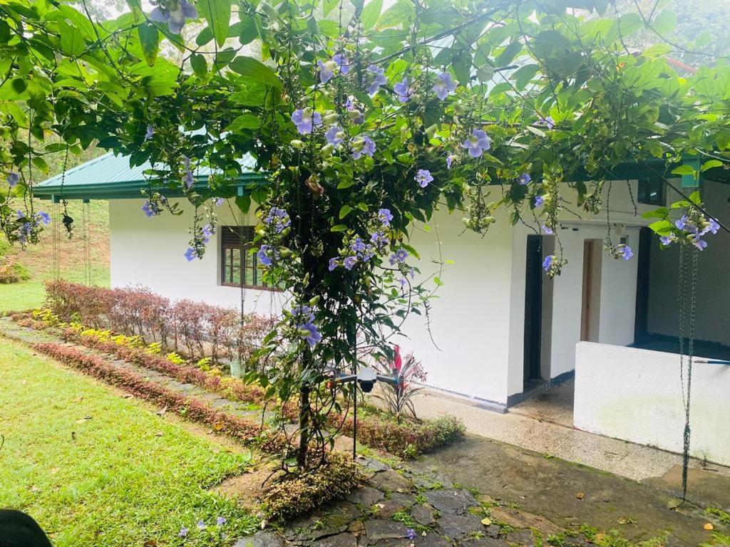 Tearamb Holiday Bungalow Otalawa 外观 照片